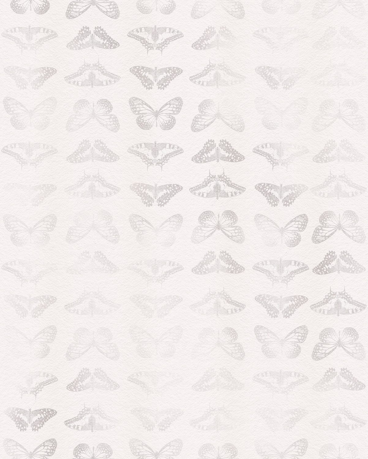 Mur de Papillons