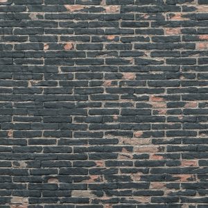 Painted Bricks