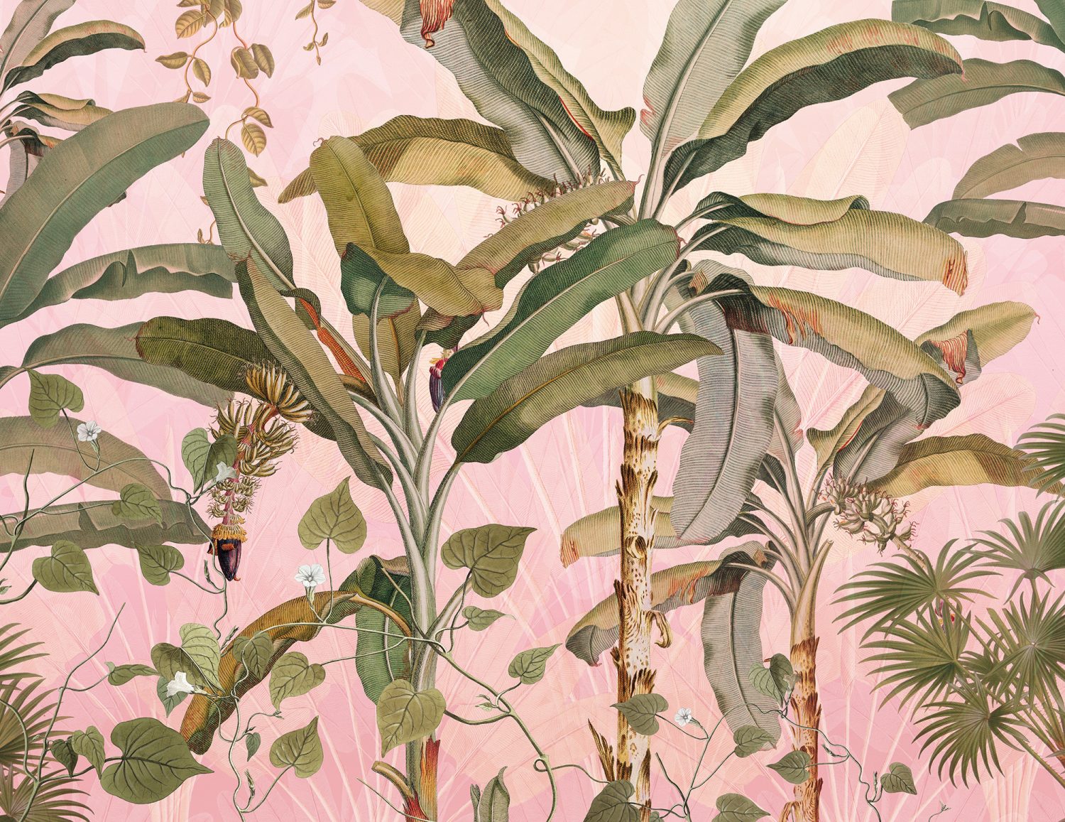 Plantation