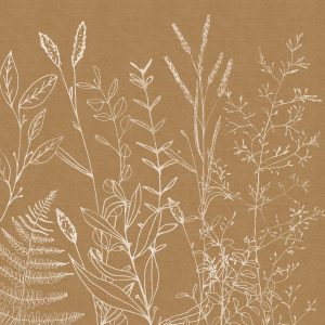 Herbs Garden