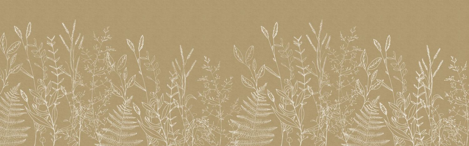 Herbs Garden