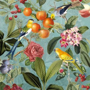 Birds and Berries