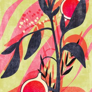 Bonbons aux Fruits