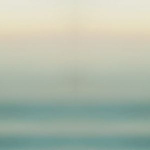 Ocean Sense