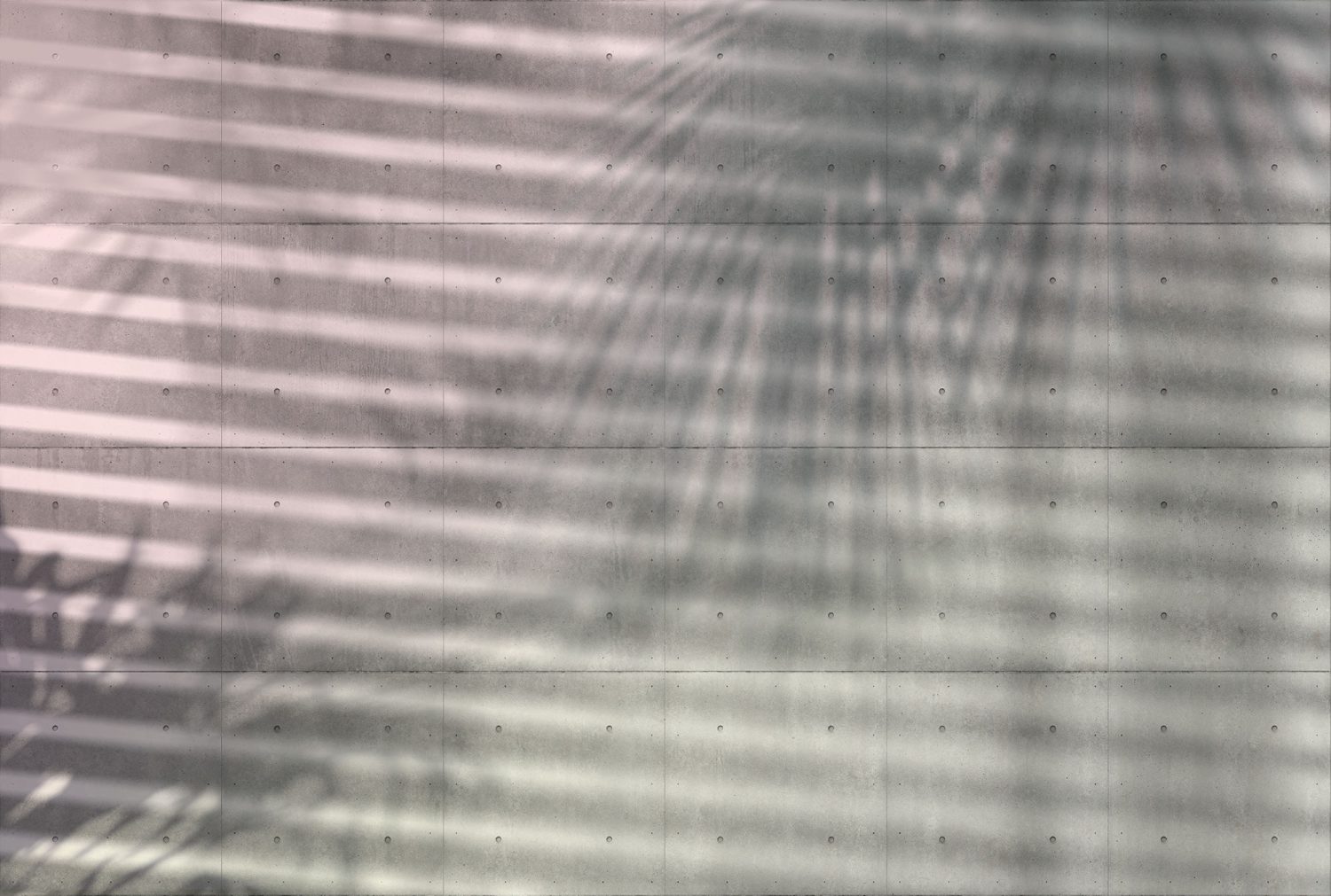 Shadows