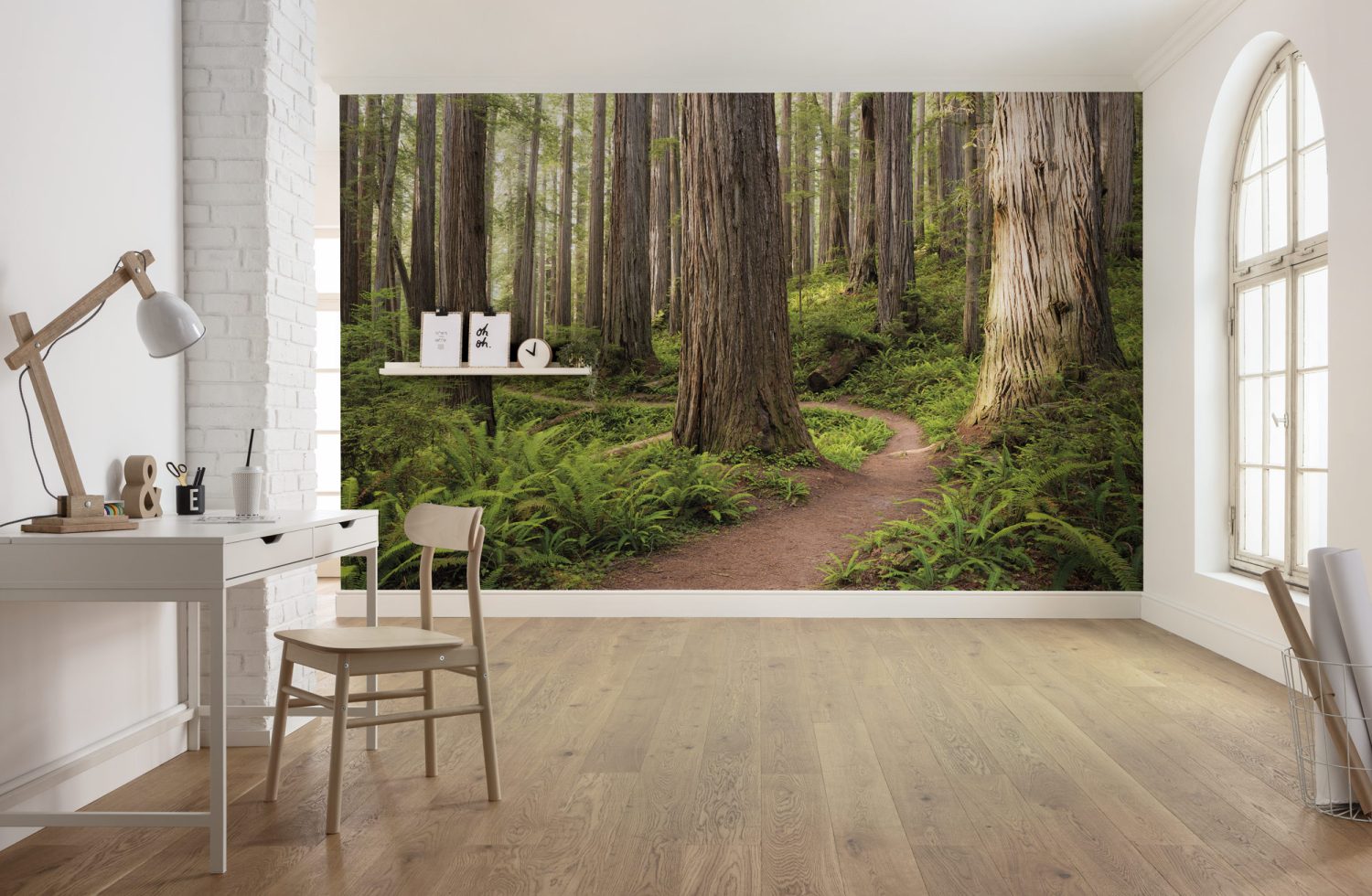 Redwood Trail