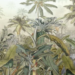 Amazonia