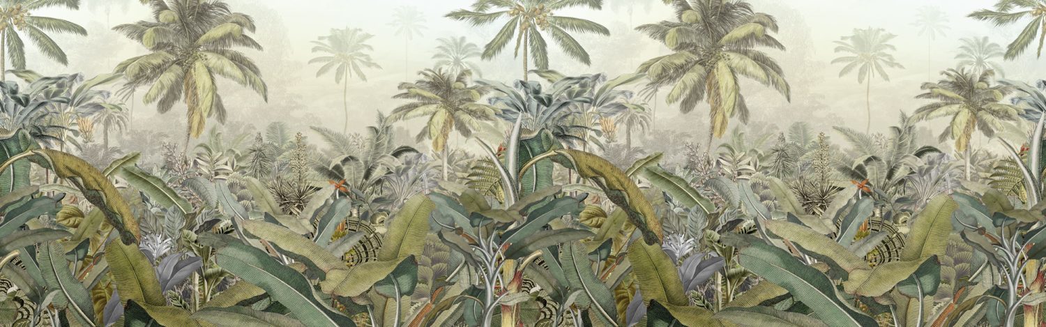 Amazonia