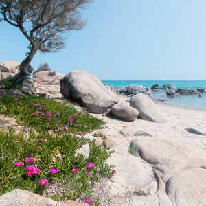 Mediterrane Träume