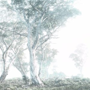 Magic Trees