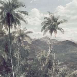 The Exotic Land