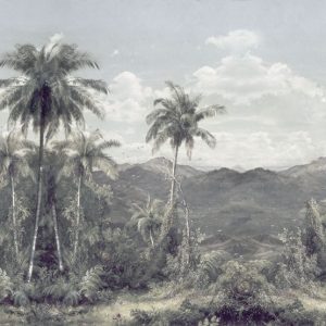 The Exotic Land