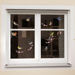 Birds