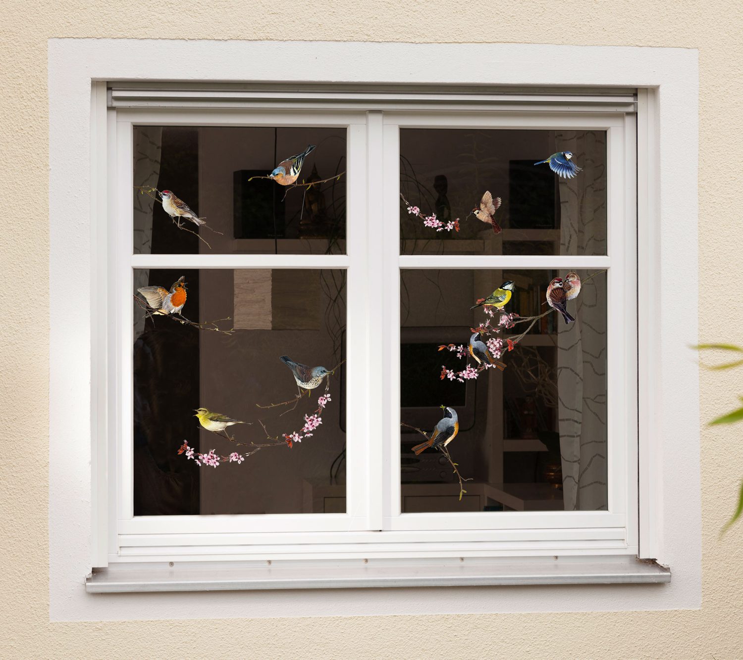 Birds