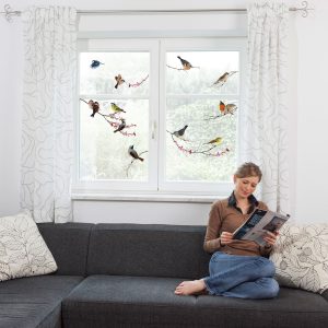 Birds