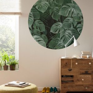 Novel Monstera