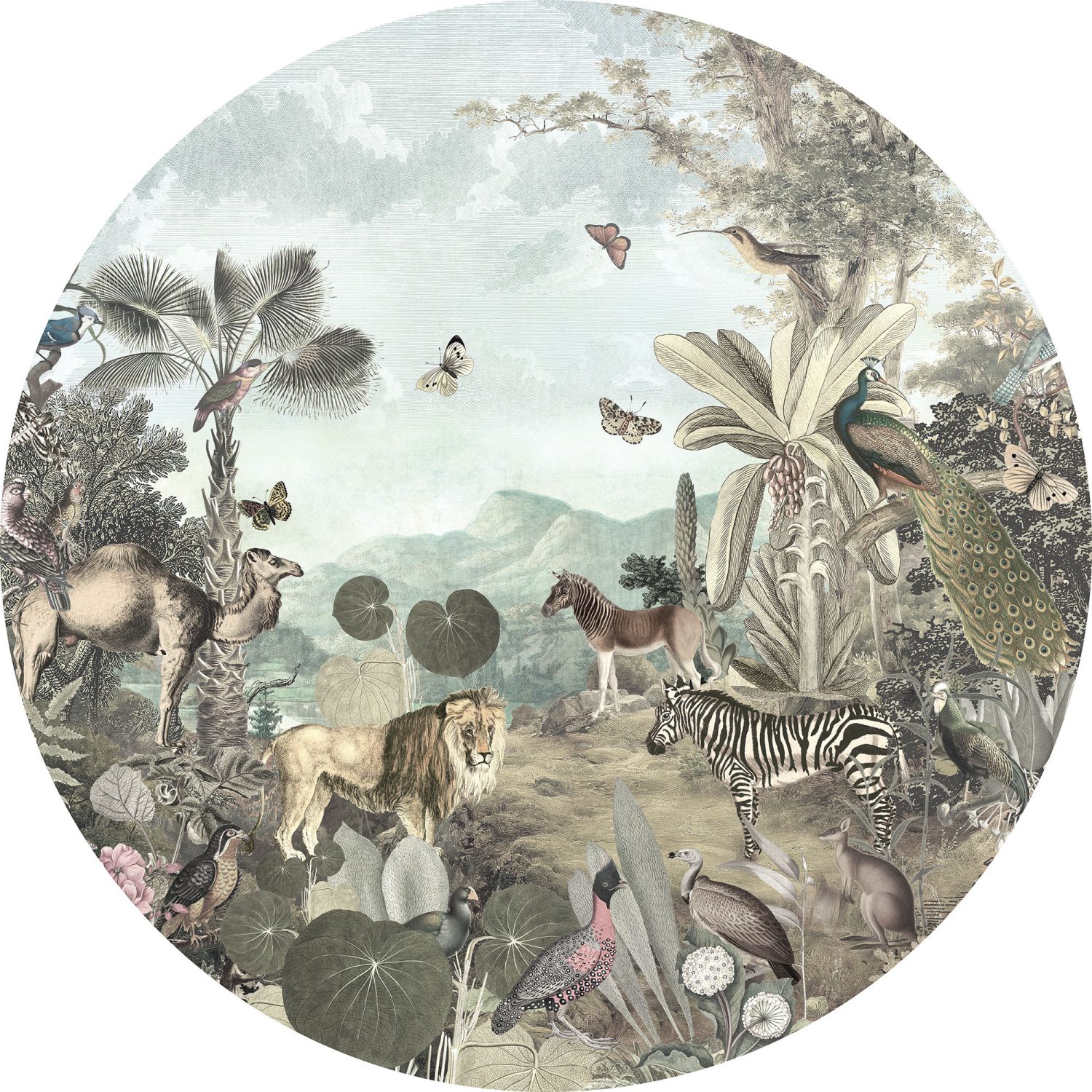 Utopia