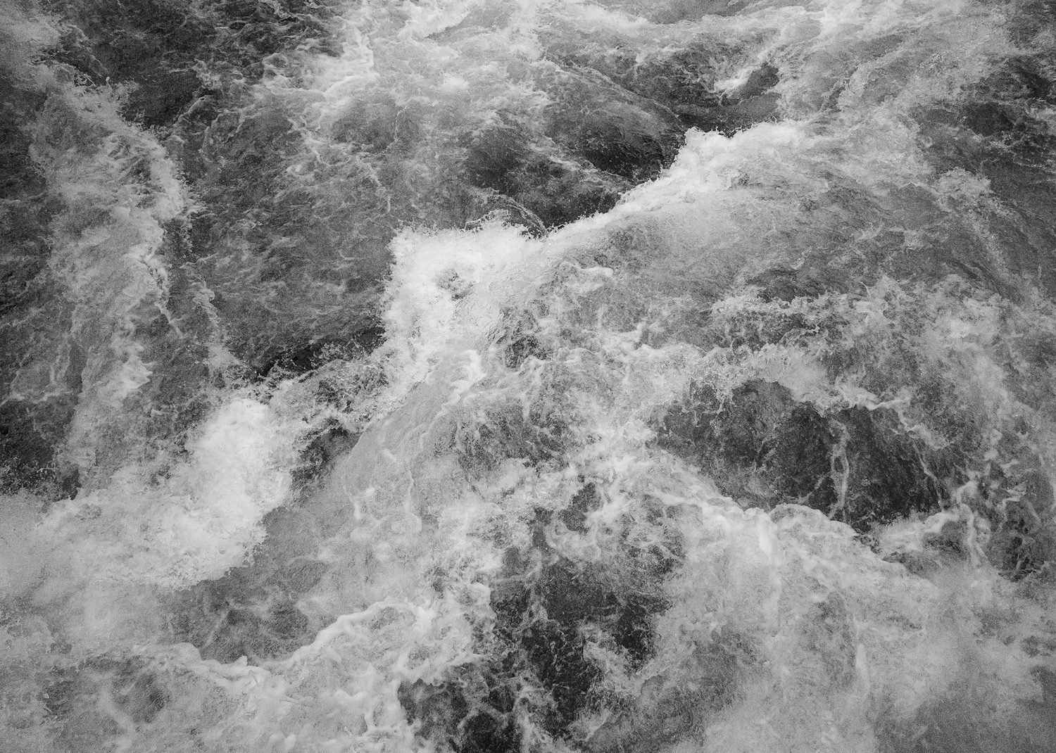 Wildest Water