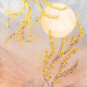 Sol