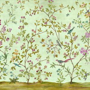 Oiseaux du Paradis