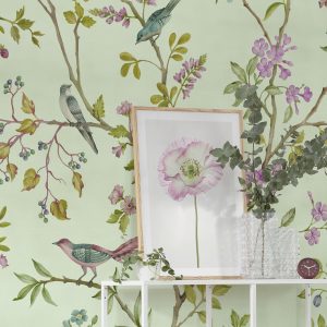 Oiseaux du Paradis