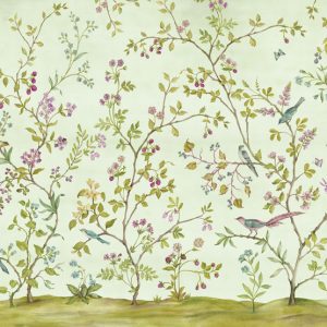 Oiseaux du Paradis