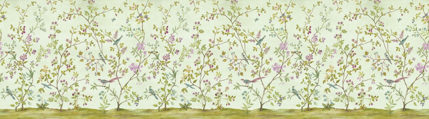 Oiseaux du Paradis
