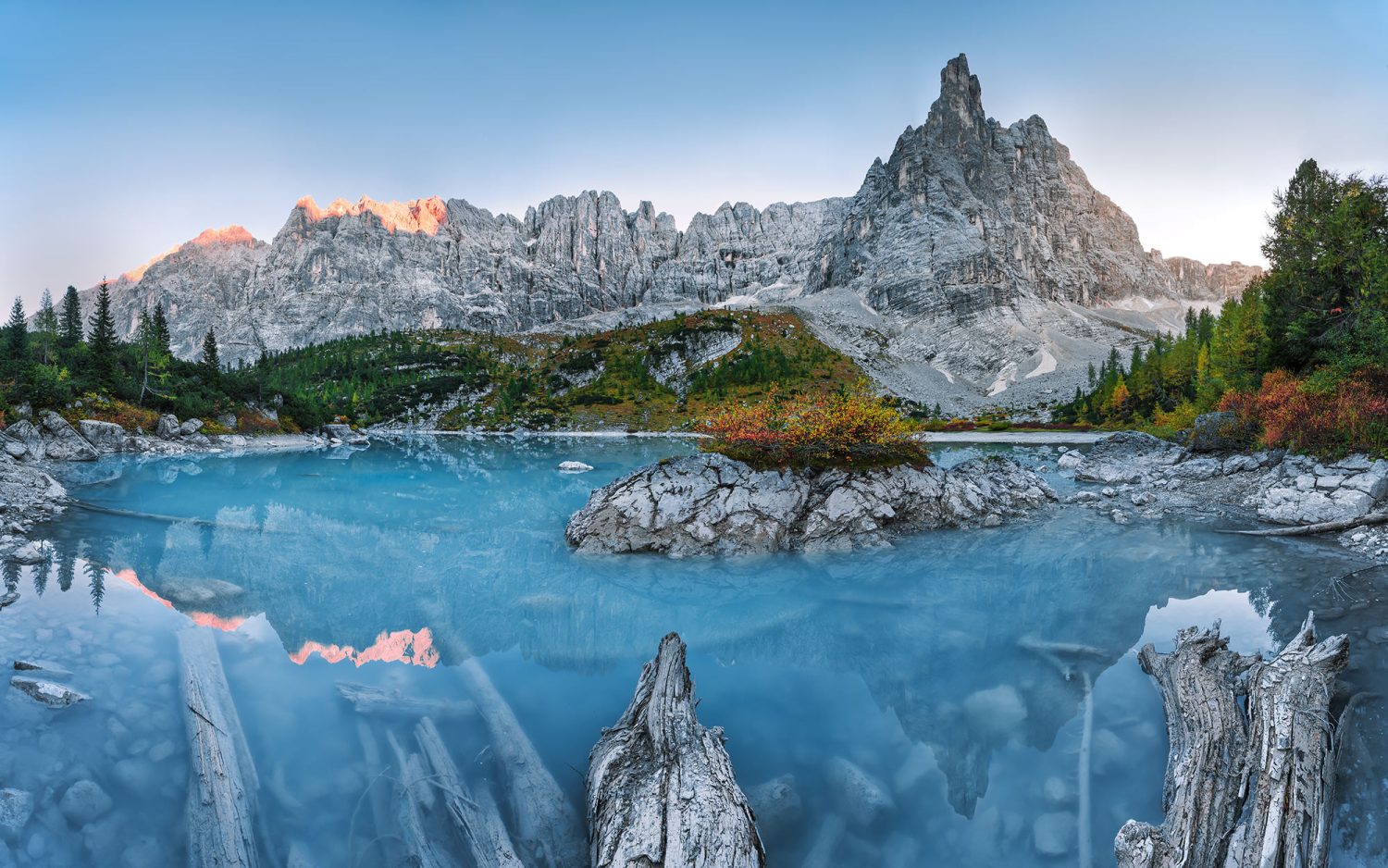 Alpine Treasure