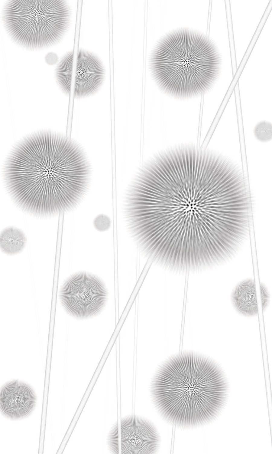 Allium