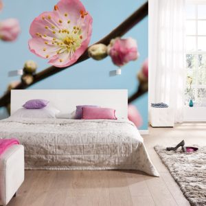 Peach Blossom