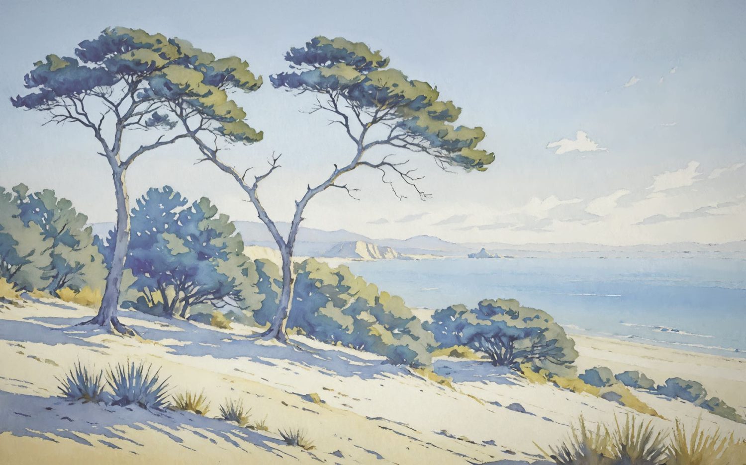 Sandy Coast