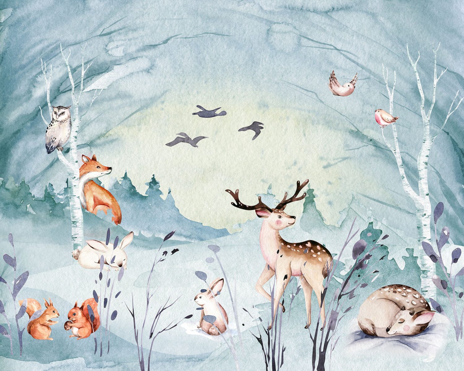 Animal Sleepover