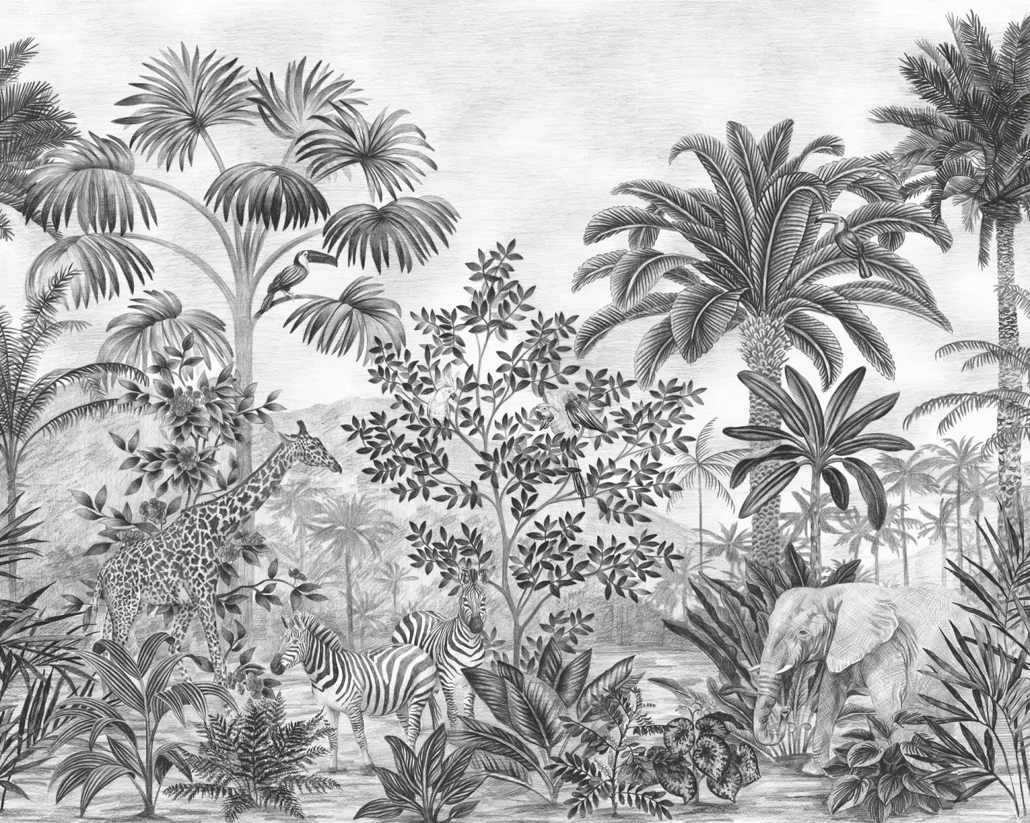 Jungle Evolution