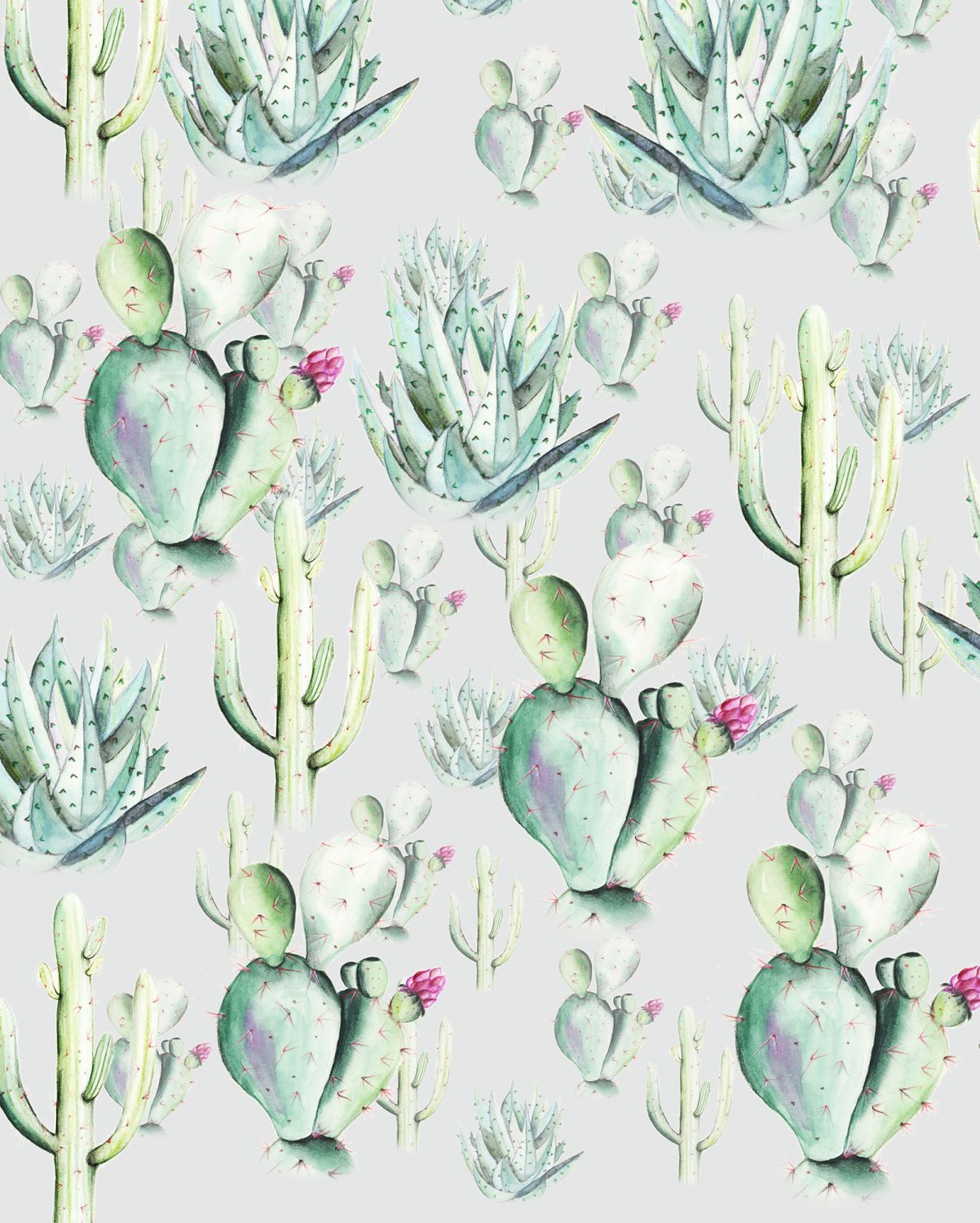 Cactus Grey