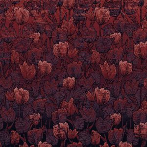 Tulipe