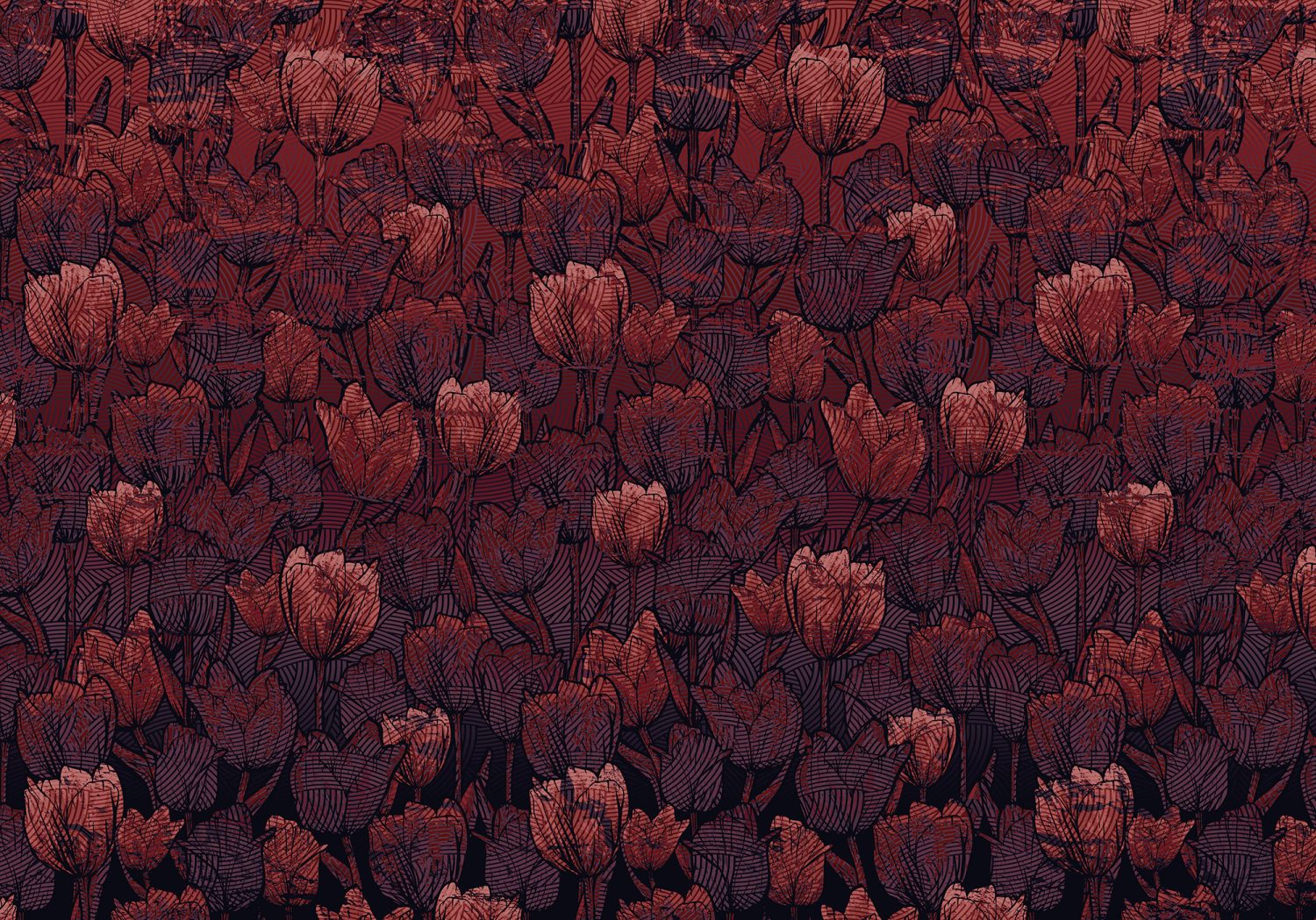 Tulipe
