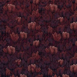 Tulipe