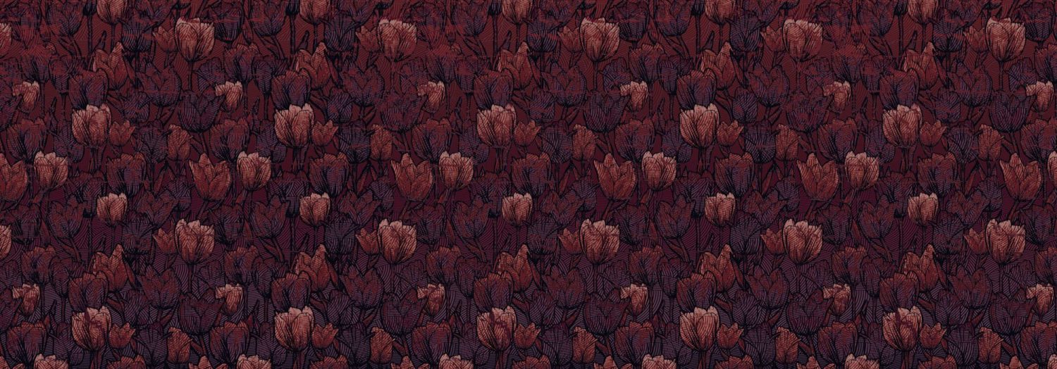 Tulipe