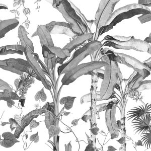 Croissances Monochrome