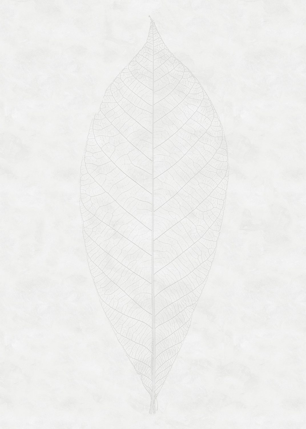 Decent Leaf