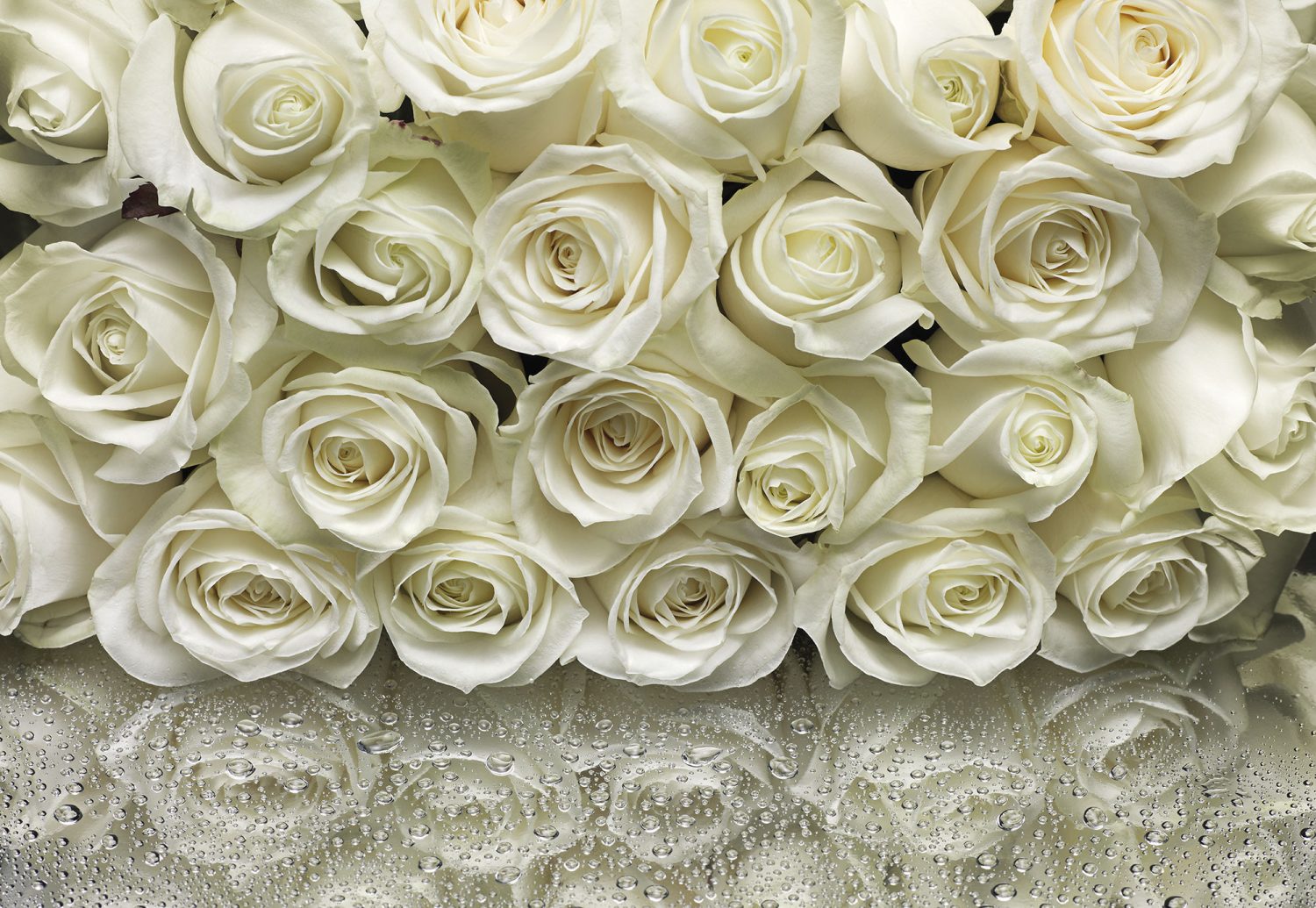 A la Rose