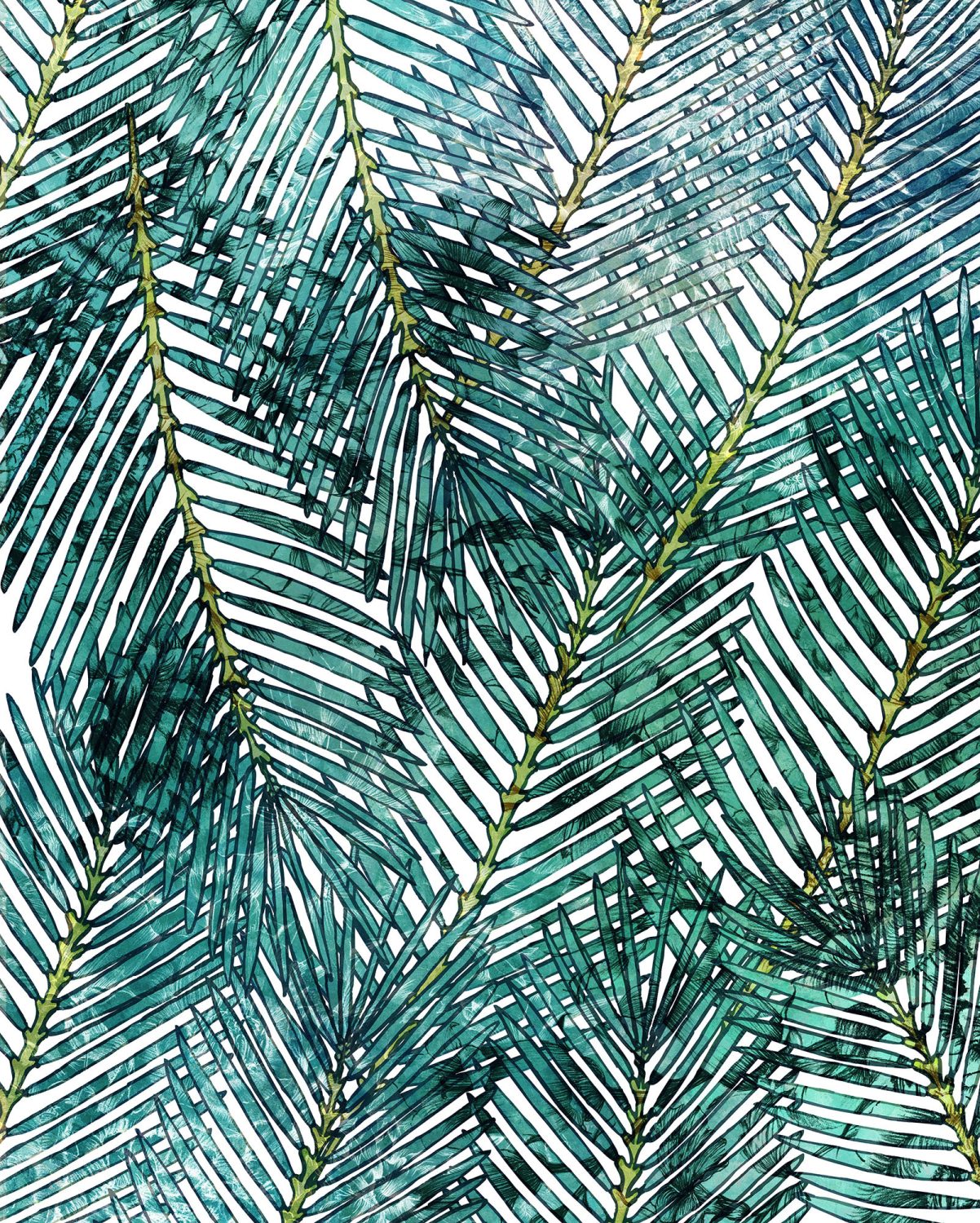 Palm Canopy
