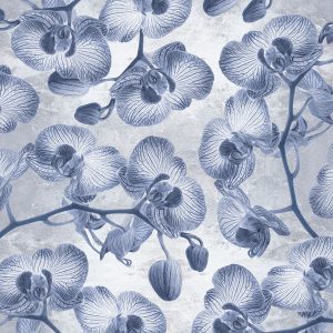 Orchidees