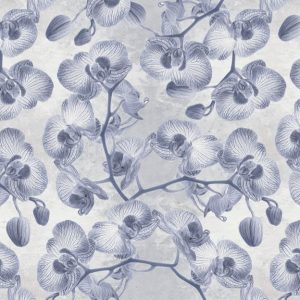 Orchidees
