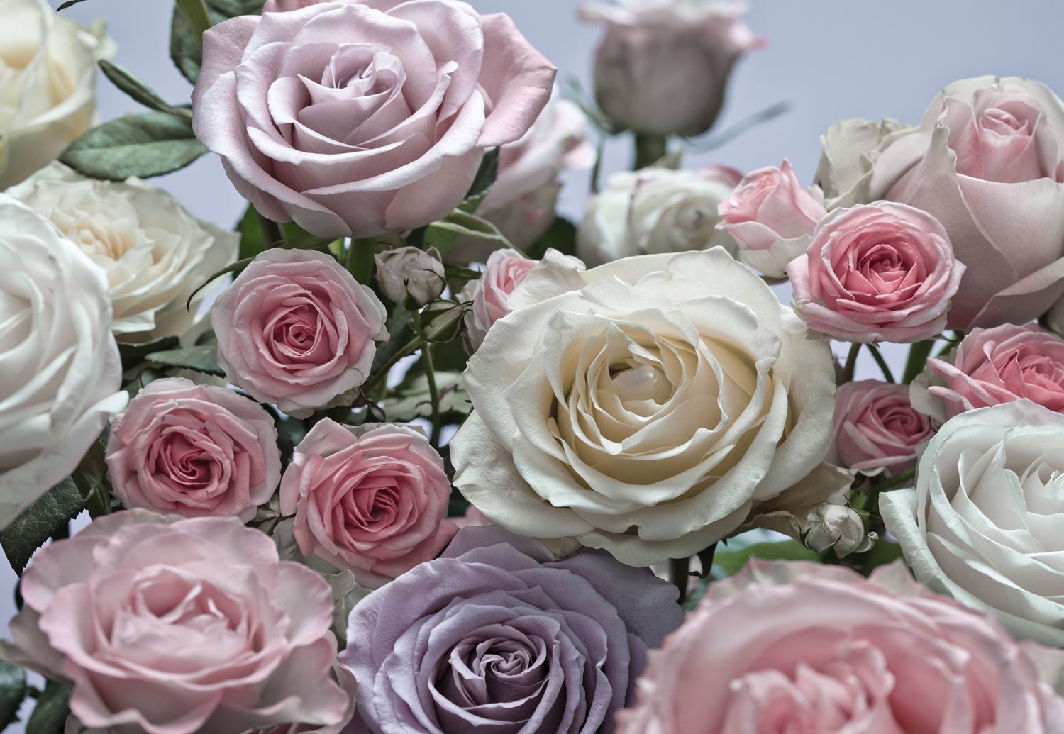 Floraison