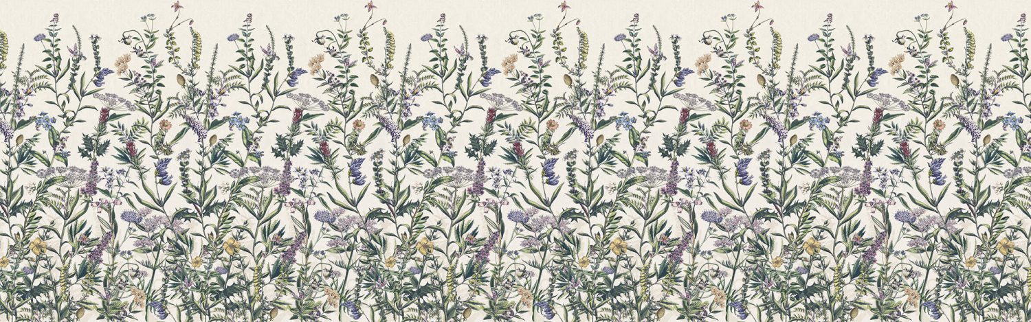Flowering Herbs