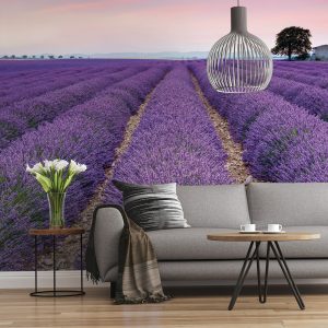 Provence