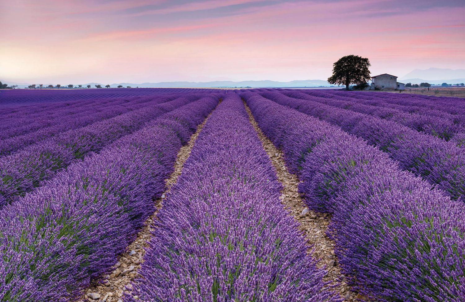 Provence
