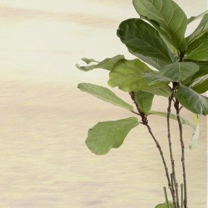 Fernweh