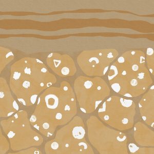 Subsoil